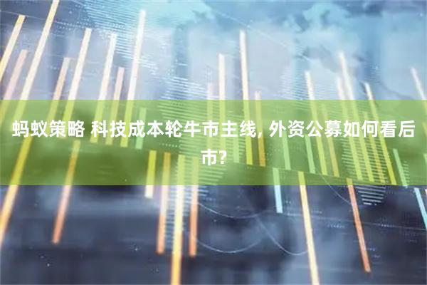 蚂蚁策略 科技成本轮牛市主线, 外资公募如何看后市?