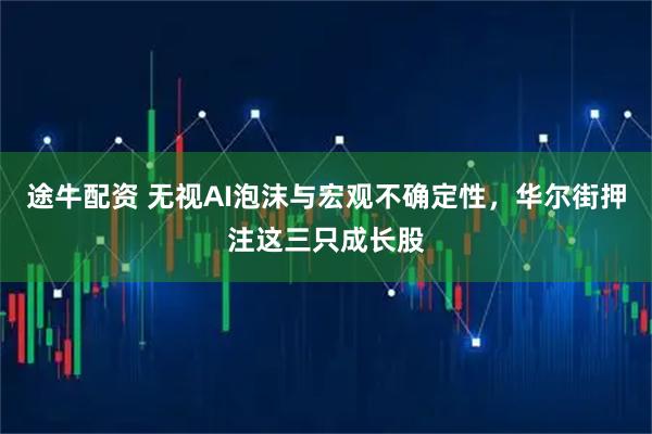 途牛配资 无视AI泡沫与宏观不确定性，华尔街押注这三只成长股