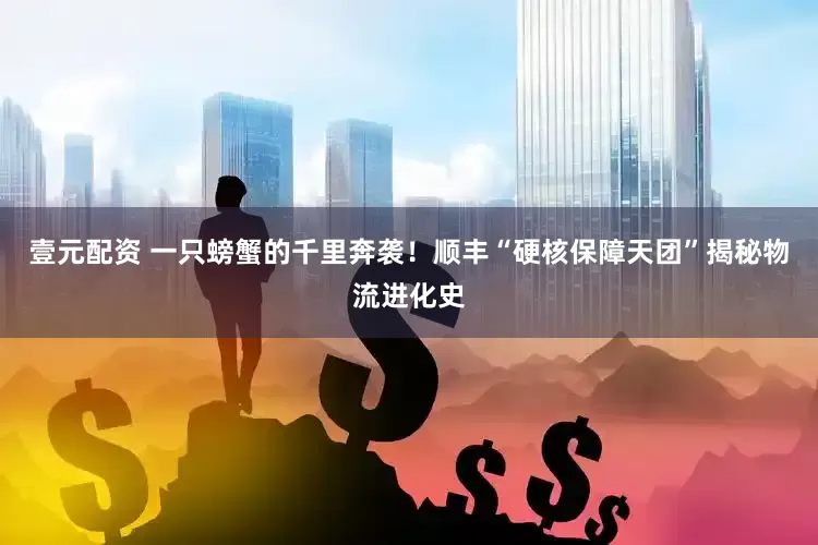 壹元配资 一只螃蟹的千里奔袭！顺丰“硬核保障天团”揭秘物流进化史