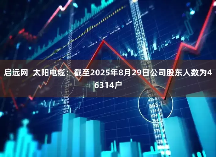 启远网  太阳电缆：截至2025年8月29日公司股东人数为46314户